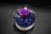 Valentine's Day and Teachers' Day everlasting flower rose manufacturer wholesale spherical glass cover everlasting flower dust cover decorative ball gift box Valentine's Day gift wholesale soap flower Teachers' Day details Picture
